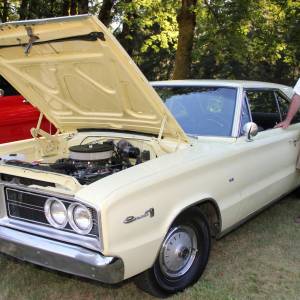 cruisin_2664_original